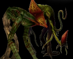 plant.jpg