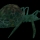 Giant Spider