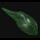 Green Leech Charm