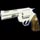 S&W Magnum